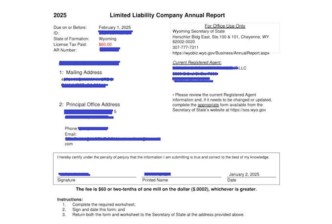file your llc or corp annual report and tax return